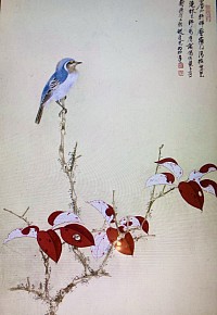 Album de divers sujets, par Xie Zhiliu 1948 Encre et couleurs sur papier Chine, musée Cernuschi